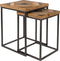 Feliz Lifestyle Joy Bijzettafel Hout Bruin/Zwart - Set van 2