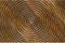 Feliz Lifestyle Maeze Bijzettafel Hout Rond 40 cm - Bruin