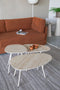 Feliz Lifestyle Norah Slaapbank 2 persoons/ Logeerbed/ Bedbank Bruin