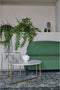 Feliz Lifestyle Polly Bank Groen
