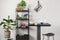 Feliz Lifestyle Tangle Kruk Zwart