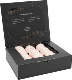 Scentchips® Invincible Cadeauset – Waxmelts – Geurwax – Geschenkdoos – Huisparfum – Geurbrander – Verzameldoos 36 Geurchips – Invincible Giftbox