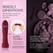 FemmeFunn - Booster Bullet Massager Maroon