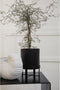 Ferm Living - Bau Pot - Bloempot met schaal - Zwart - Small
