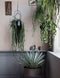 Ferm Living - Hanging Deco Pot - Black (3337)