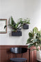Ferm Living Wall Plant Box - rechthoek - zwart