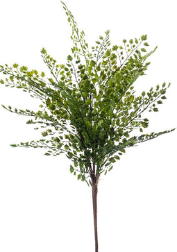Fern adianthum bush 40 cm green