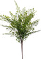 Fern adianthum bush 40 cm green