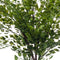 Fern adianthum bush 40 cm green