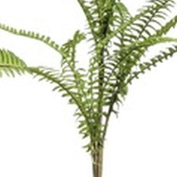 Fern boston mix spray 60 cm