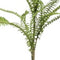 Fern boston mix spray 60 cm