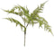 Fern garden bush x7 green 65 cm