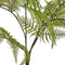 Fern garden bush x7 green 65 cm