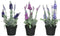 Decoratieve plant 25 cm PVC Lavendel