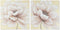 Schilderij Home ESPRIT Shabby Chic Papaver 80 x 3 x 80 cm (2 Stuks)