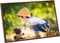 vidaXL - Fotolijsten - 5 - st - voor - wand - of - tafel - 59,4x84 - cm - MDF - bronskleurig
