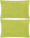vidaXL - Sierkussenset - 60x60 - cm - velours - groen - 2-delig