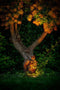 Garden Lights: Rubum Plus Grondspot 12 Volt - Zwart