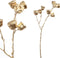 PTWM Twig Plant Eucalyptus Kunsttak - 30 x 21 x 63 cm - Goud