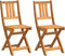 vidaXL - Vouwbare - Tuinstoelen - 2 - stuks - 36x46x85 - cm - Massief - Acaciahout