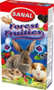 Sanal Knaagdier Fruities Bosbes 50 gr