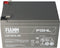 Fiamm 12FGHL48 lood PB-batterij 12 volt 12000 mAh met Faston-contacten van 6,3 mm