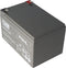 Fiamm 12FGHL48 lood PB-batterij 12 volt 12000 mAh met Faston-contacten van 6,3 mm