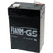 Fiamm FG10451 Loodaccu 1 stuk(s)