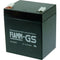 Fiamm FG20451 Loodaccu 1 stuk(s)