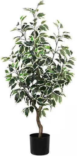 Ficus Bonsai Lichtgroen 60 cm kunstplant