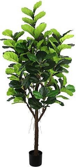 Ficus Lyrata 210 cm kunstplant