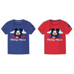 Figuur Mickey Mouse
