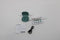 Soundcore Sport X20 - Draadloze oordopjes - ANC - IP68 - Groen