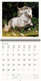 2026 Kalender schrijven 30 x 30 paarden - gratis 2025