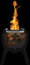 FirePit+ (upgraded version)