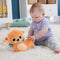 Fisher-Price 2-in-1 Schommelende Otter - Knuffel