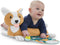 Fisher-Price 3-in-1 Puppy Tummy Wedge - Baby Speelgoed
