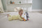Fisher-Price Flap & Wobble Penguin - 20 cm hoog - Interactieve knuffel