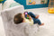 Fisher-Price Leerplezier - Afstandsbediening - Baby speelgoed 6 maanden