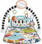FISHER-PRICE Pianomat - Activiteitenmat met muzikaal ontwaken - Fisher-Price - HWY56