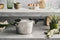 Fissler Vitavit Premium Snelkookpan met Inzet 2022, 3.5L