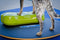 FitPAWS - Dieren - balansmat - K9FITbone - groen - PVC - FPK9BONEGR