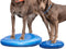 FitPAWS Dierenbalansschijf 56 cm blauw