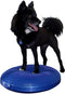 FitPAWS Dierenbalansschijf 56 cm blauw