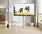 FITUEYES - TV-Stand - In Hoogte Verstelbaar - Draaibaar