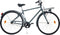 Dino Aurelia Herenfiets - Transportfiets voor Heren - 28 Inch 49 cm - V-Brakes - Donkergrijs