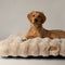 Scruffs Alpine - Hondenkussen - Luxe imitatie konijnenbont - Champagne - Large 100 x 70 cm