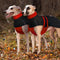Oranje Winterjas voor Greyhounds en Lurchers met Reflecterende Strepen