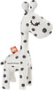 Rattle Raffi Q4-21