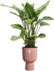 Elho Vibes Fold Coupe 30 - Bloempot voor Binnen - 100% Gerecycled Plastic - Ø 29.5 x H 44.7 cm - Delicaat roze
